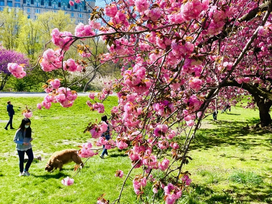 IMG_2742.jpg?type=w966