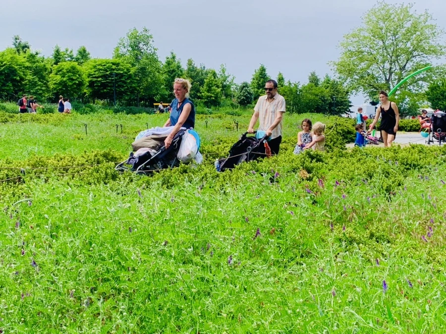 IMG_5098.jpg?type=w966