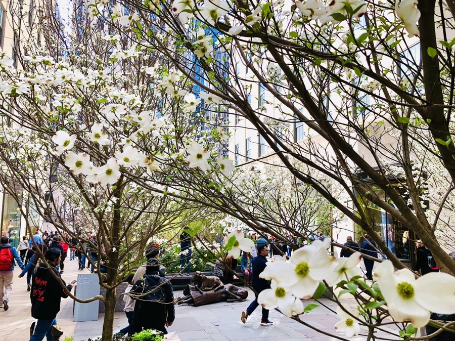 IMG_3847.jpg?type=w966