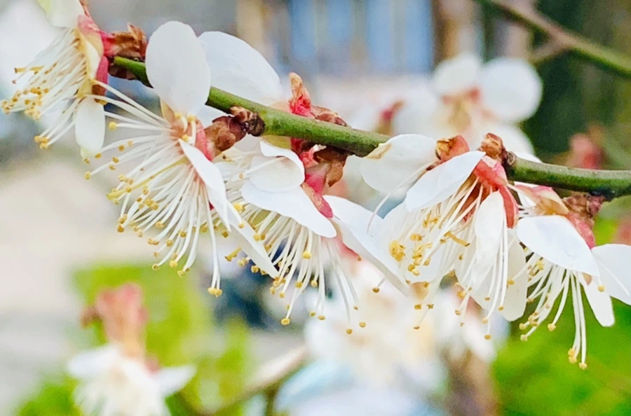 IMG_2366.jpg?type=w966