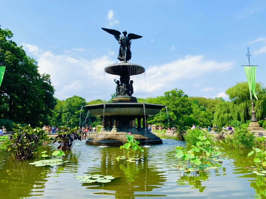 IMG_0635.jpg?type=w966