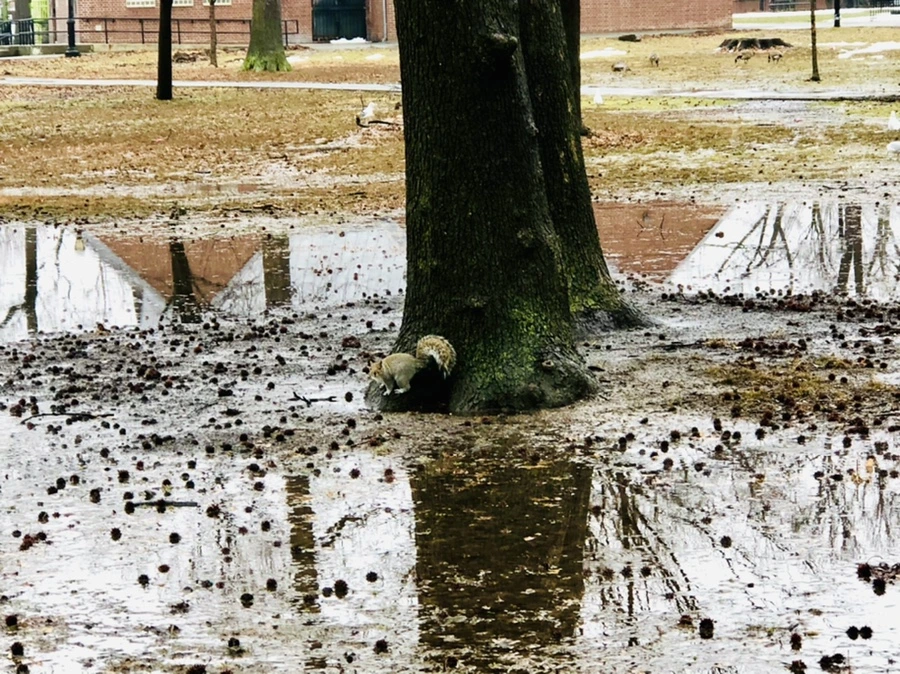 IMG_5720.jpg?type=w966