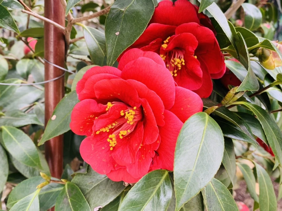 IMG_6616.jpg?type=w966