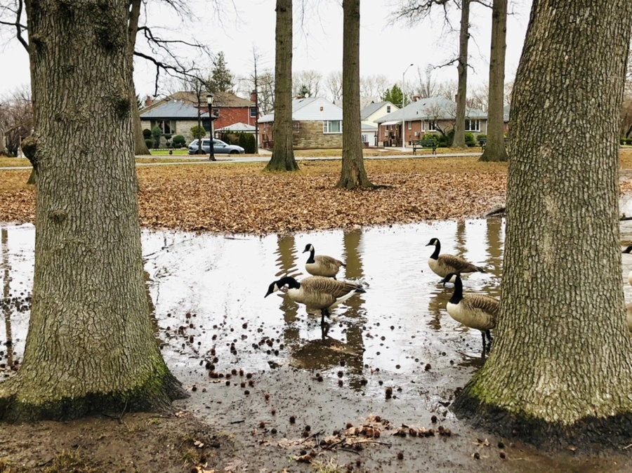 IMG_9655.jpg?type=w966