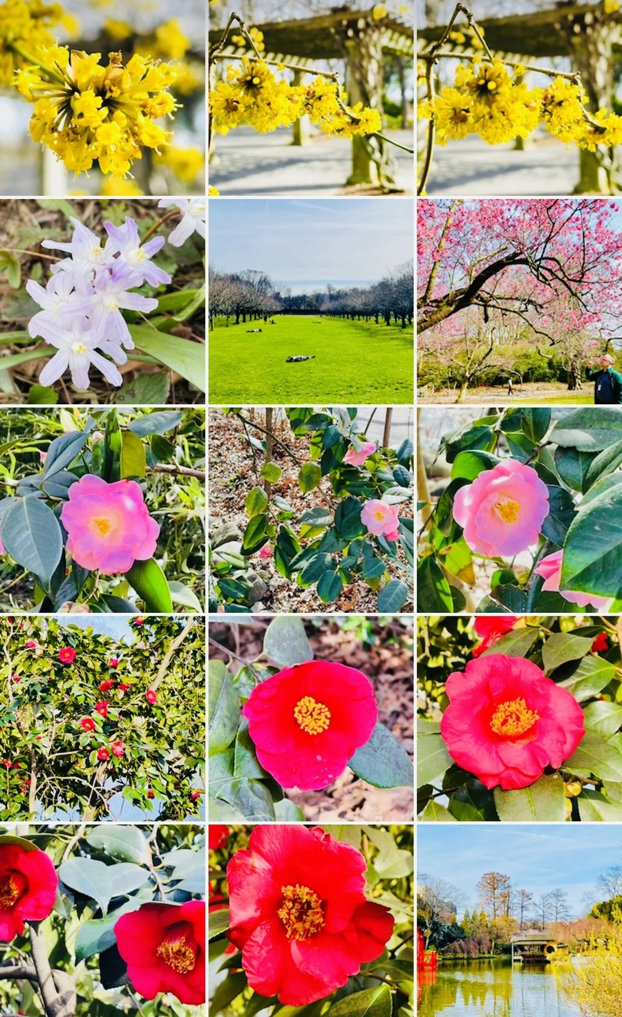 IMG_6771.jpg?type=w966