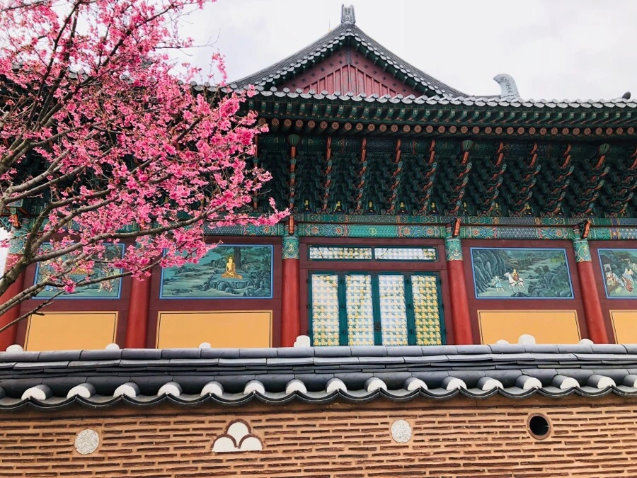 IMG_4116.jpg?type=w966