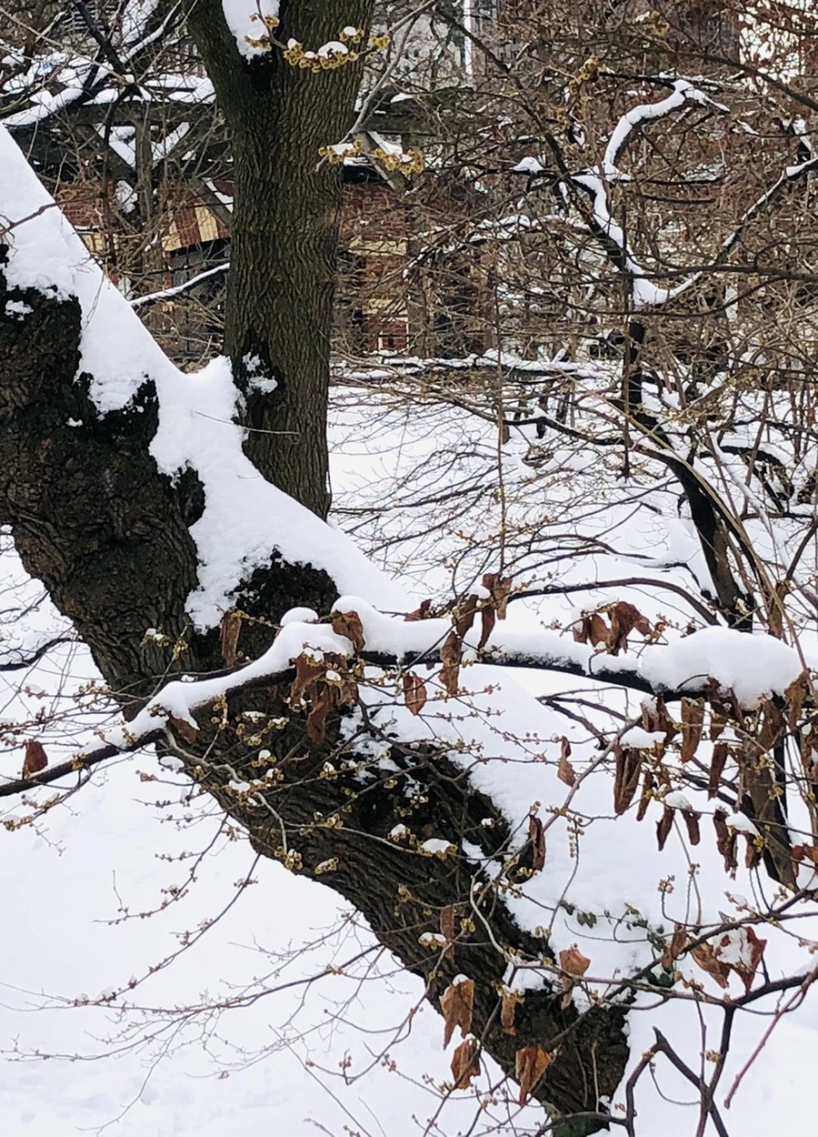 IMG_9567.jpg?type=w966