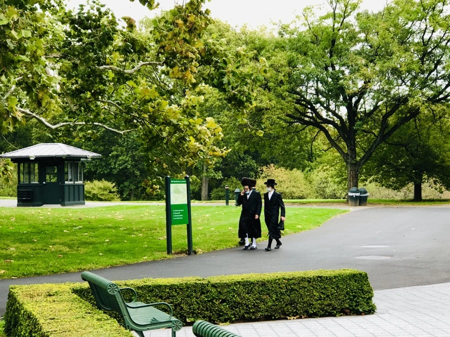 IMG_1569.jpg?type=w966