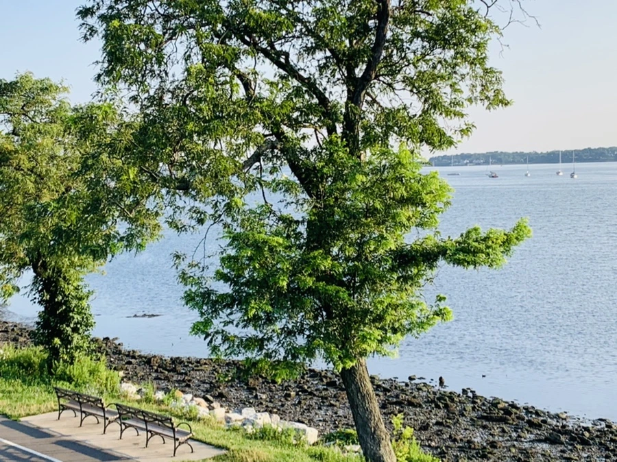 IMG_9855.jpg?type=w966