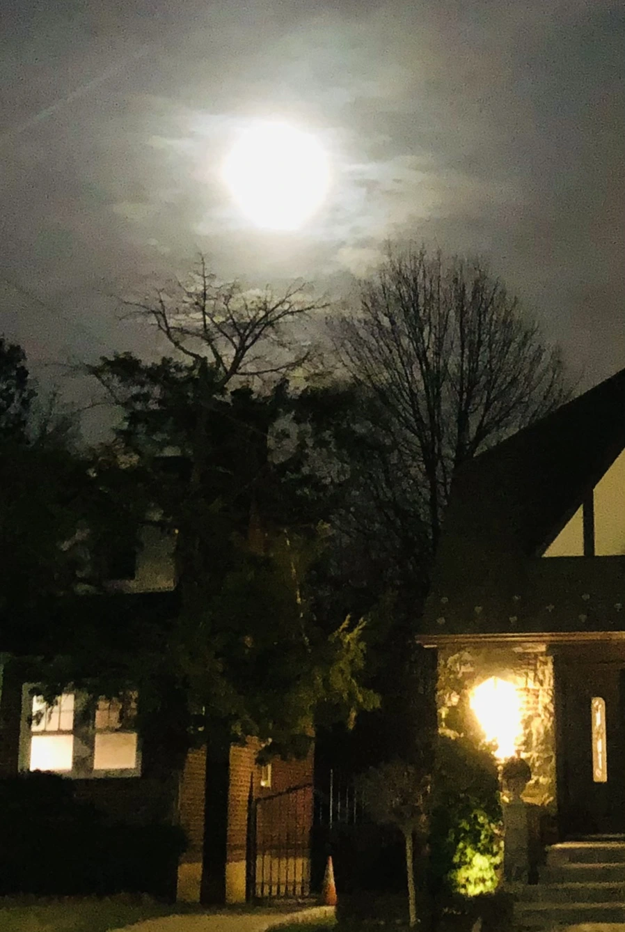 IMG_8574.jpg?type=w966