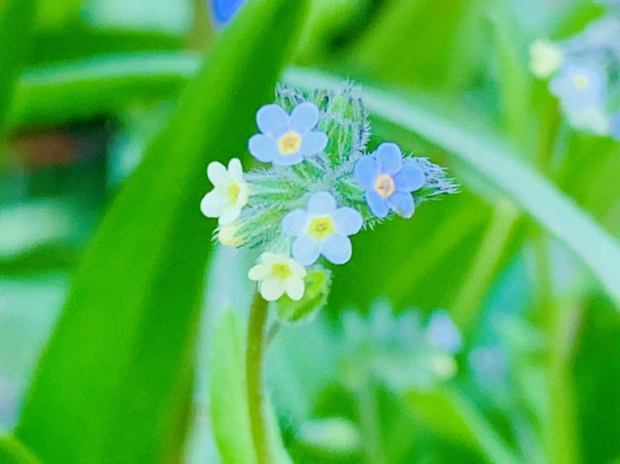 IMG_8264.jpg?type=w966