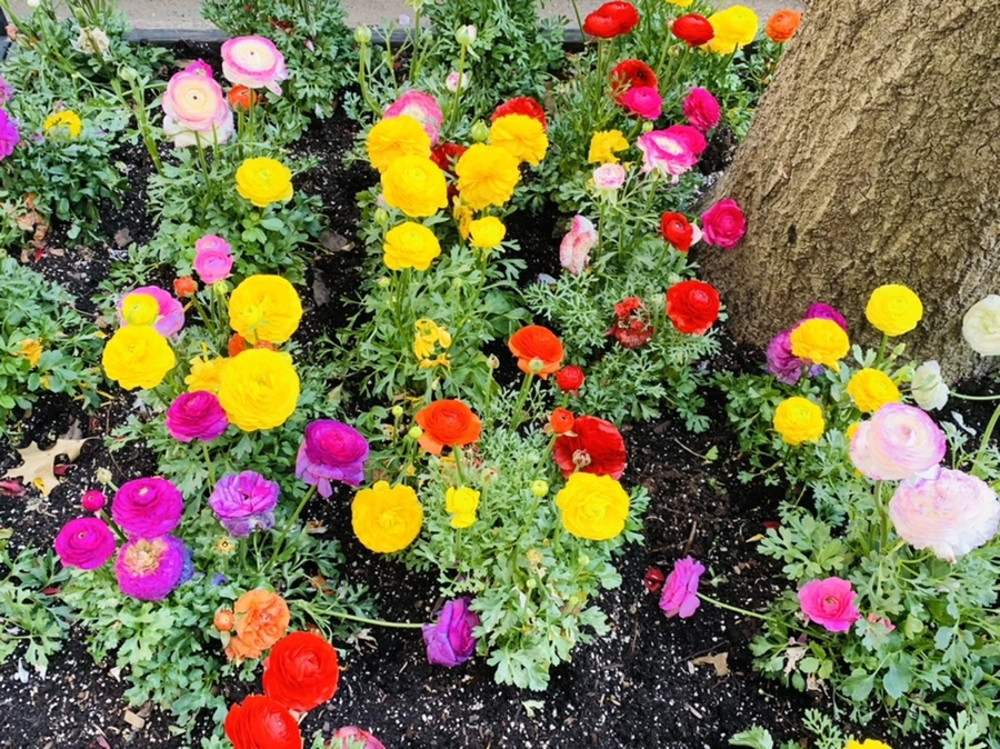 IMG_5401.jpg?type=w966