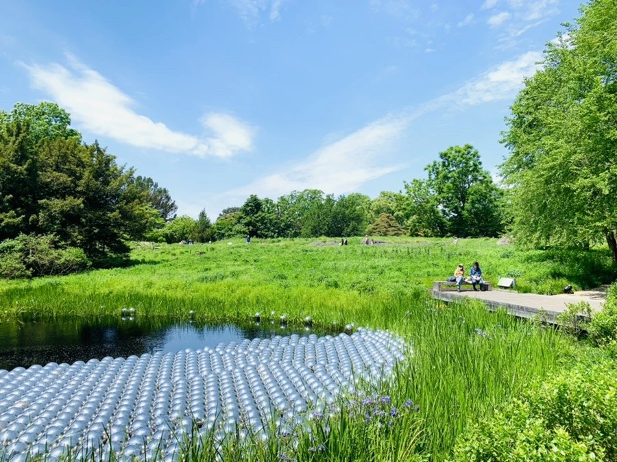 Em2DjQLGaMg41Jva3eqmbQqVK5s