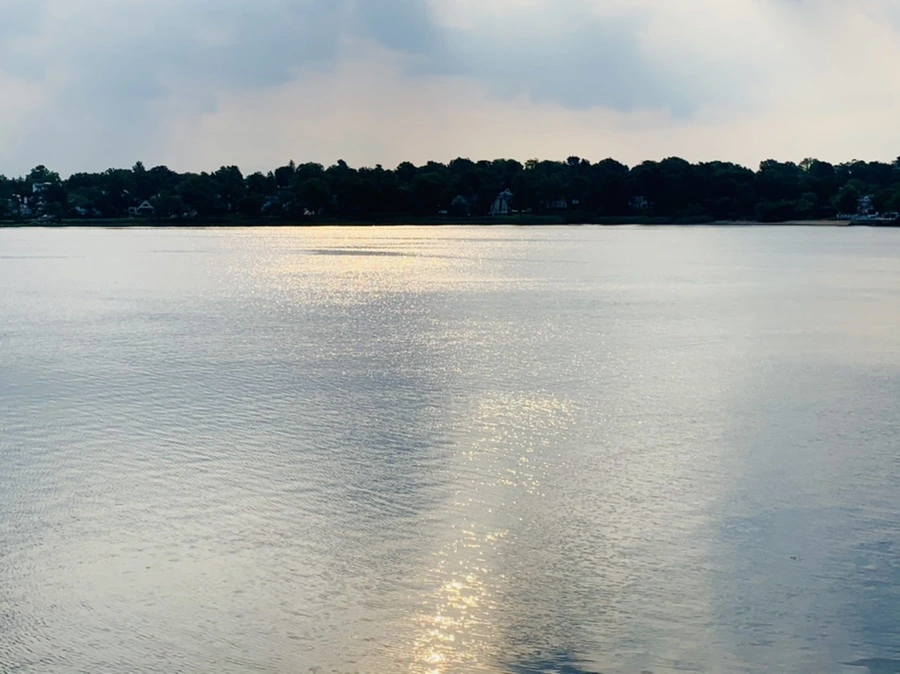 IMG_1563.jpg?type=w966