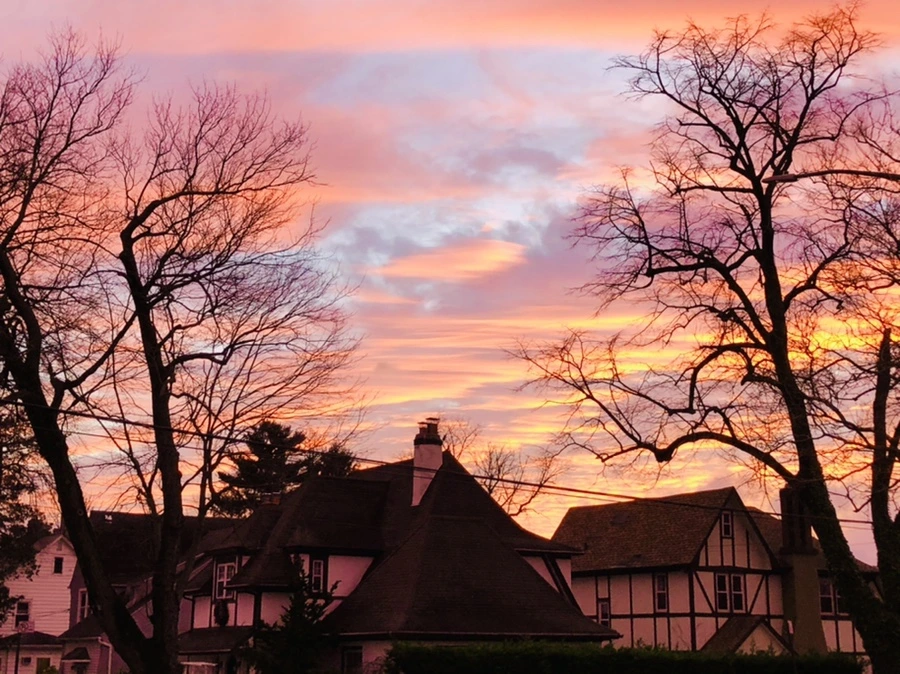 IMG_8249.jpg?type=w966