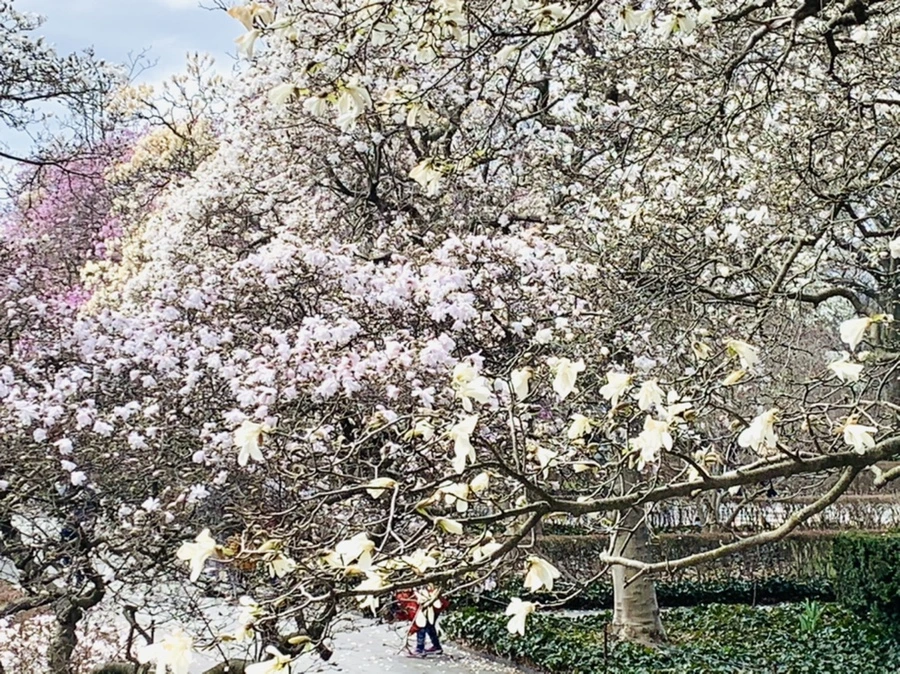 IMG_6479.jpg?type=w966