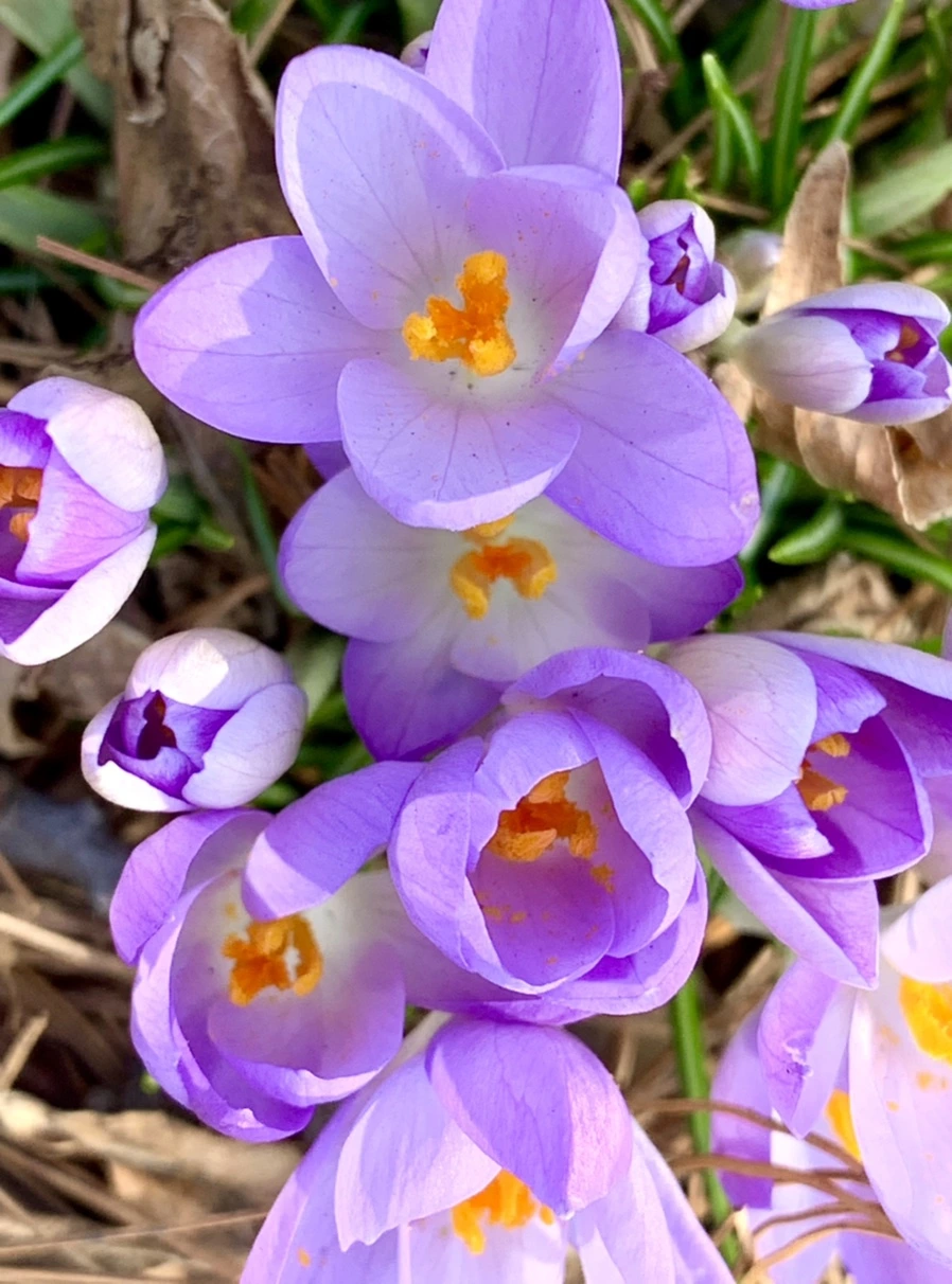 IMG_0131.jpg?type=w966