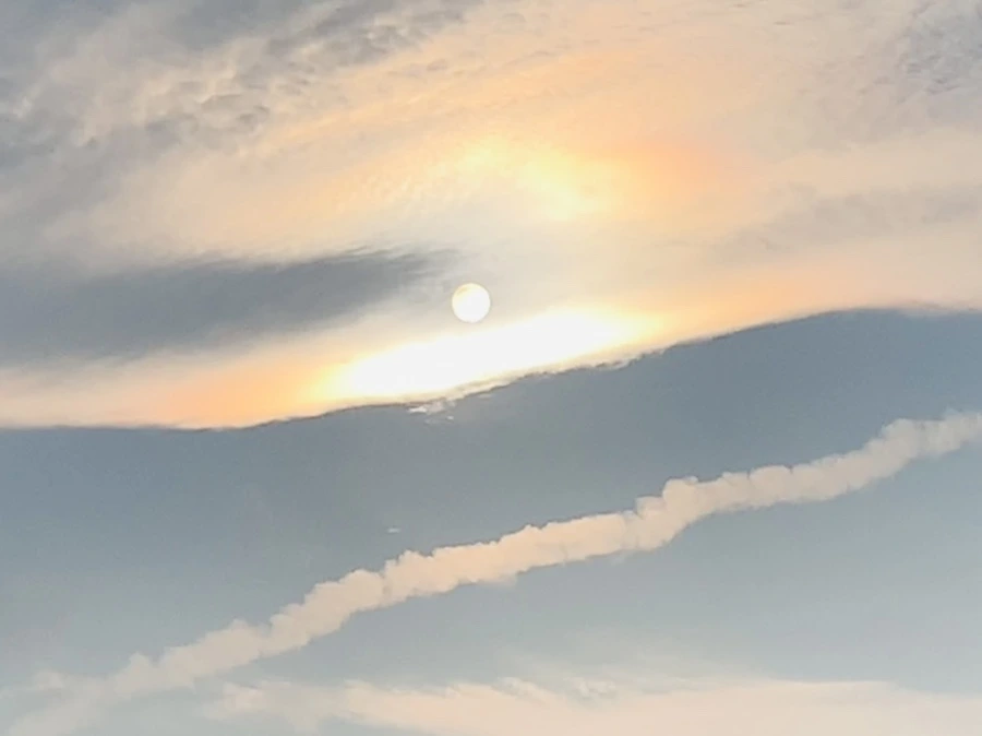 IMG_2234.jpg?type=w966