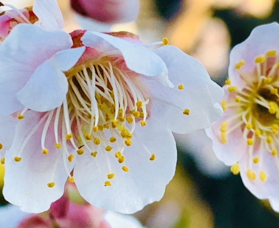 IMG_0771.jpg?type=w966