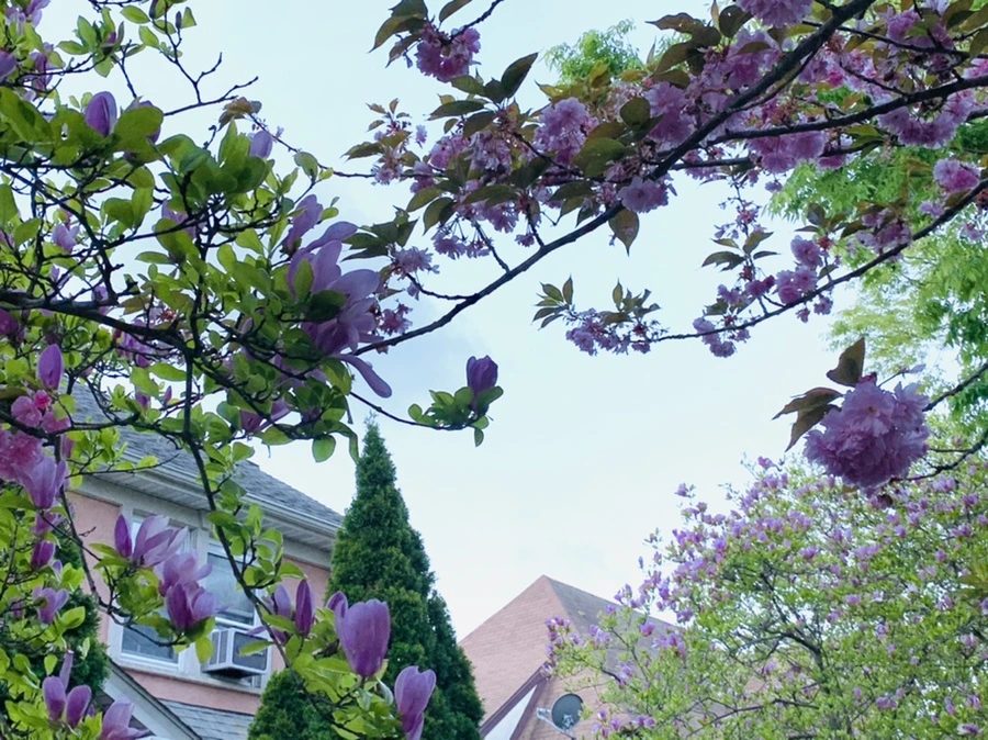 IMG_7511.jpg?type=w966