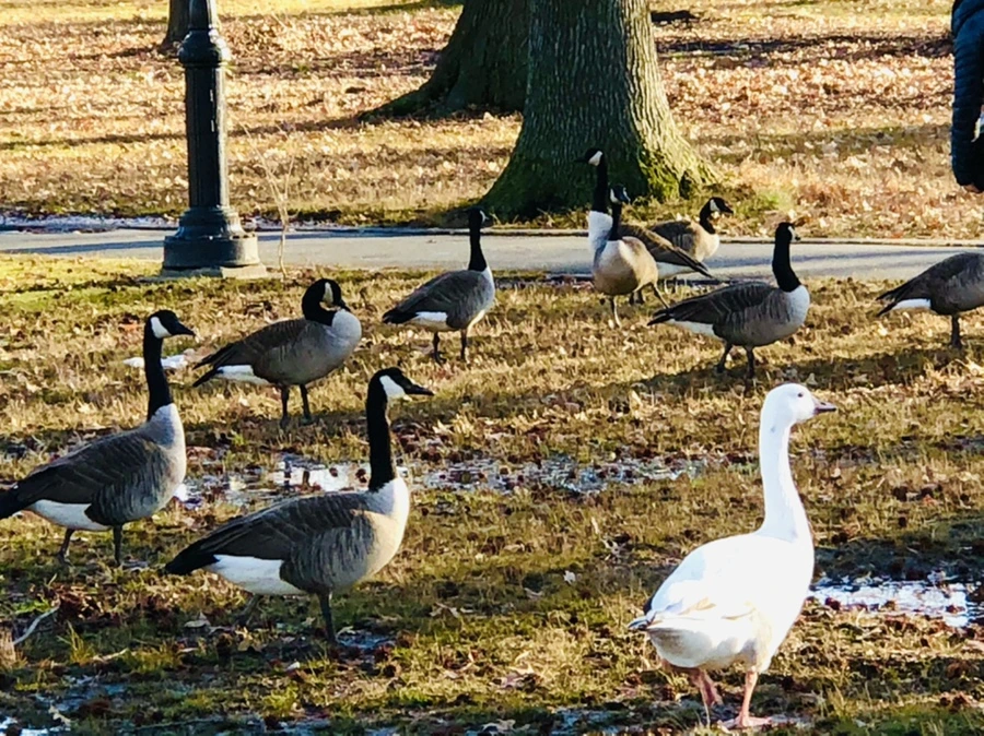 IMG_9303.jpg?type=w966