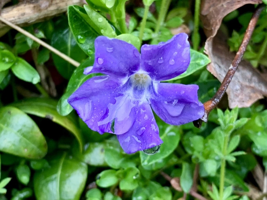 IMG_5353.jpg?type=w966