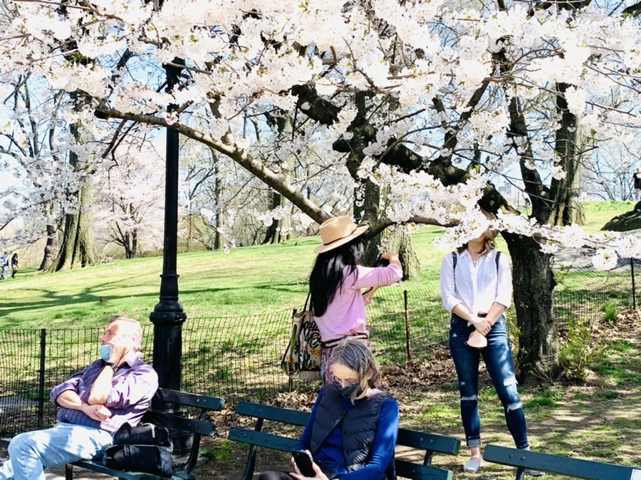 IMG_8998.jpg?type=w966