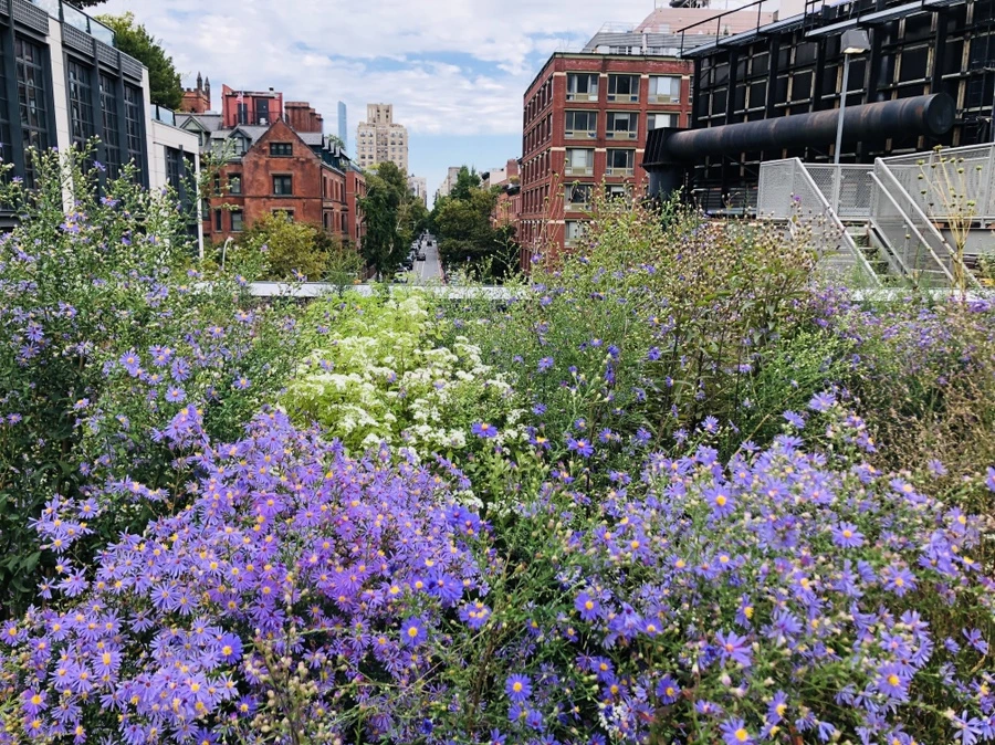 IMG_1269.jpg?type=w966