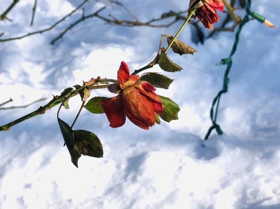 4Zy6knjdCJiVbanH_Vqa2PYfNRE