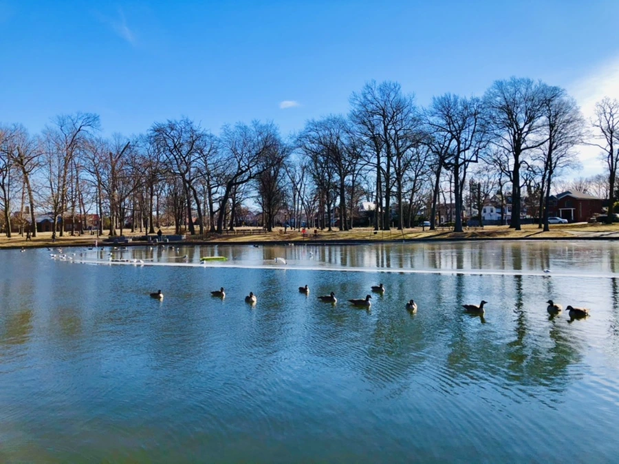 IMG_5499.jpg?type=w966