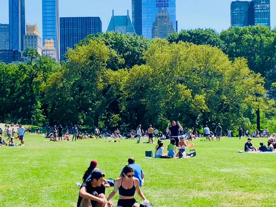 IMG_4384.jpg?type=w966