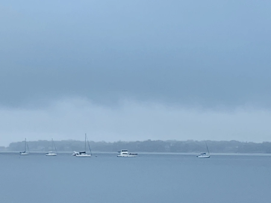 IMG_4795.jpg?type=w966