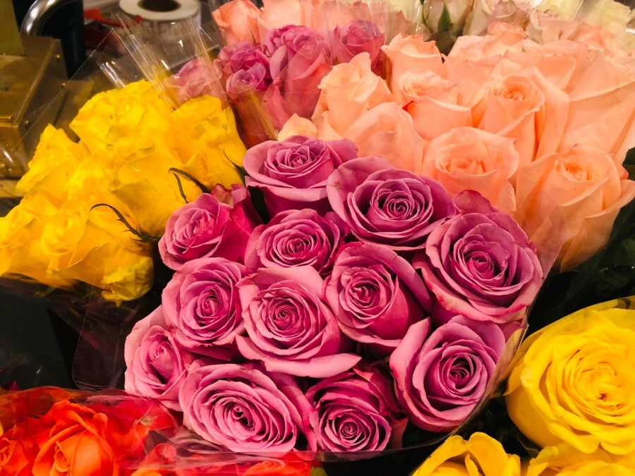 IMG_7936.jpg?type=w966