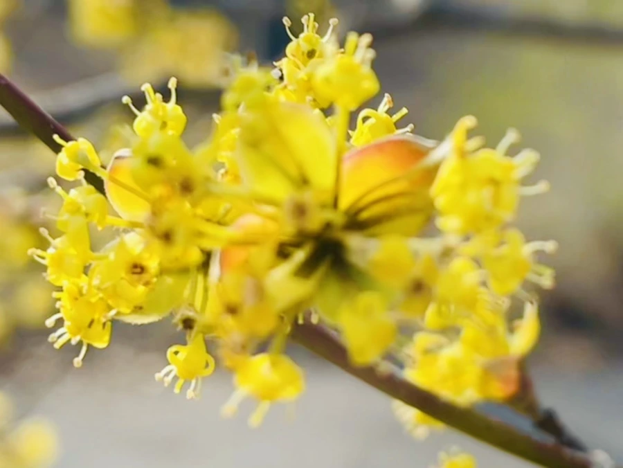 IMG_5939.jpg?type=w966