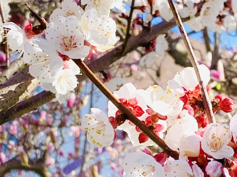 IMG_7470.jpg?type=w966