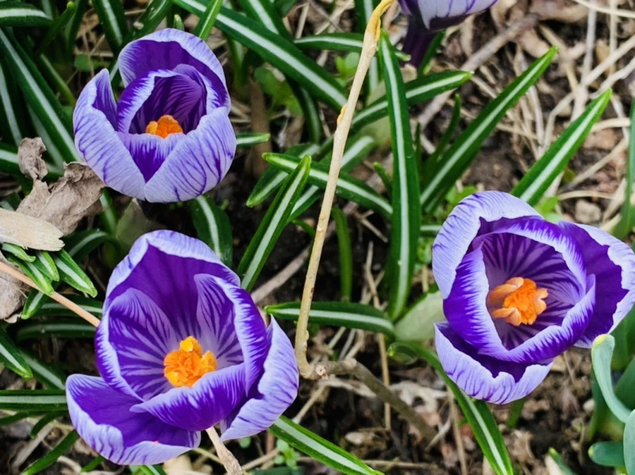 IMG_3499.jpg?type=w966