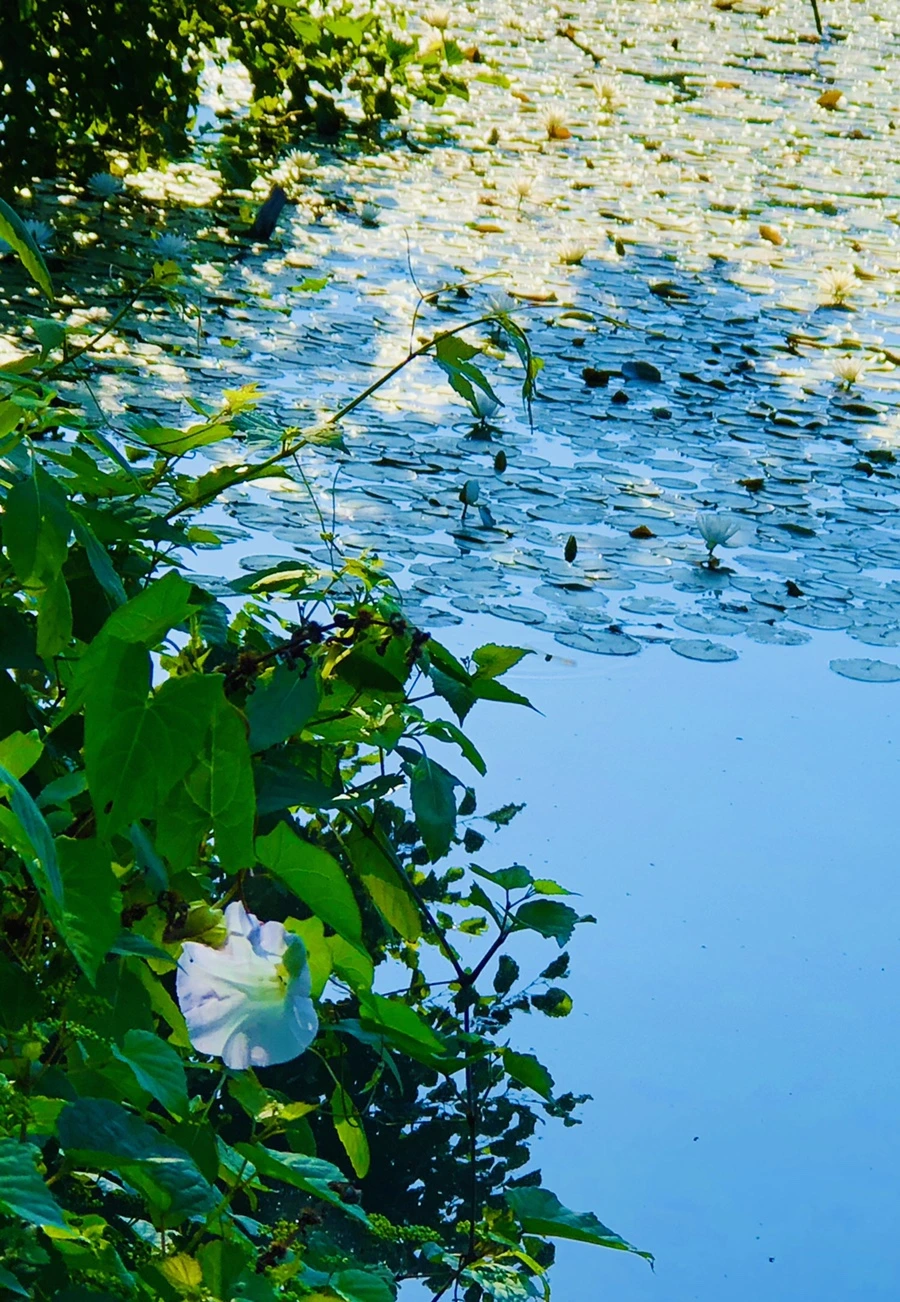 IMG_3953.jpg?type=w966