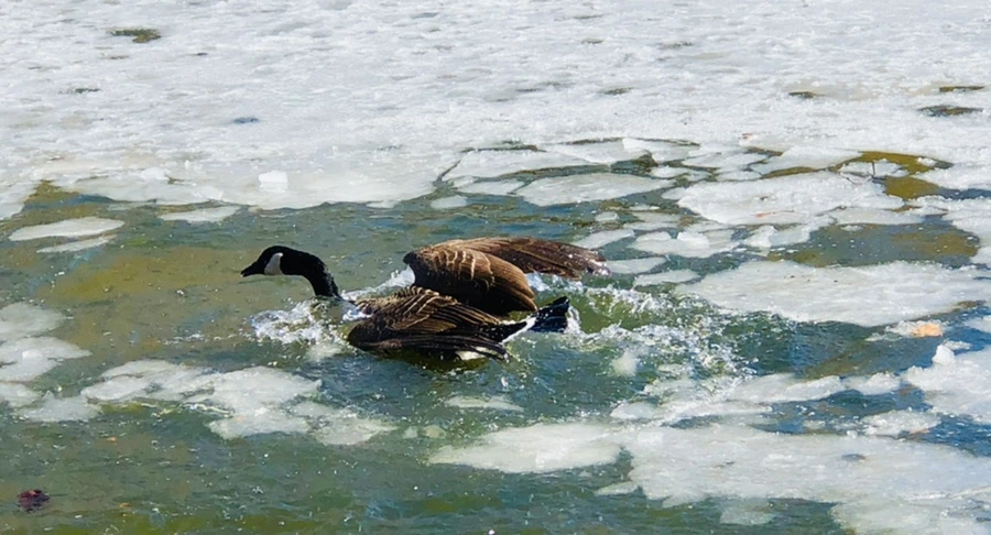 IMG_5289.jpg?type=w966