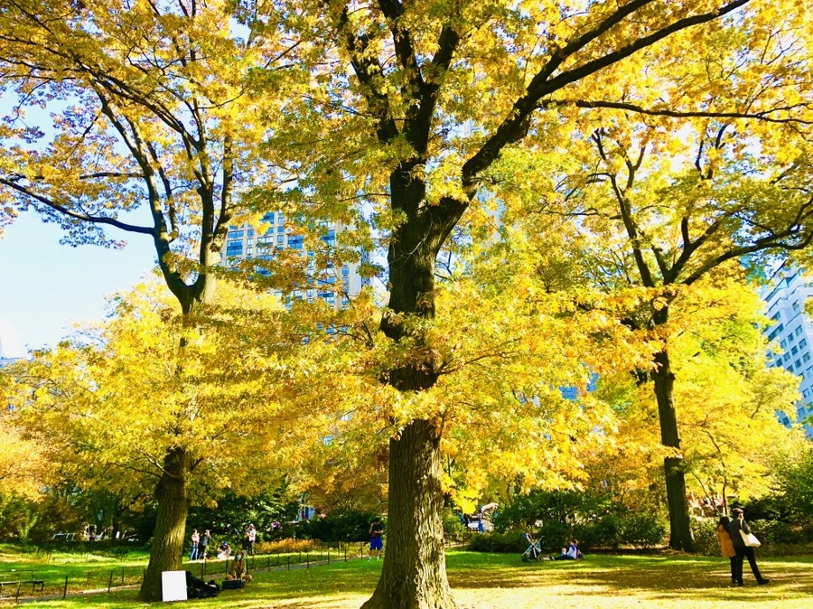 IMG_3766.jpg?type=w966