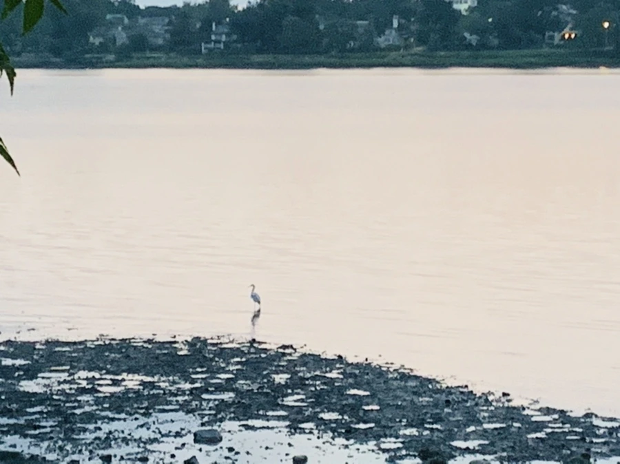 IMG_9543.jpg?type=w966