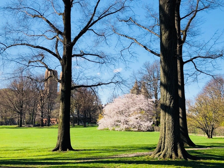 IMG_4498.jpg?type=w966