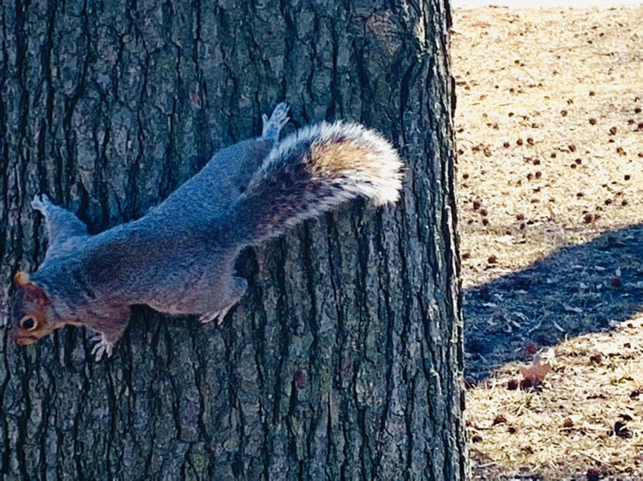 IMG_6949.jpg?type=w966