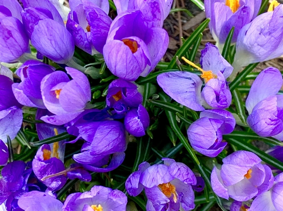 IMG_1277.jpg?type=w966