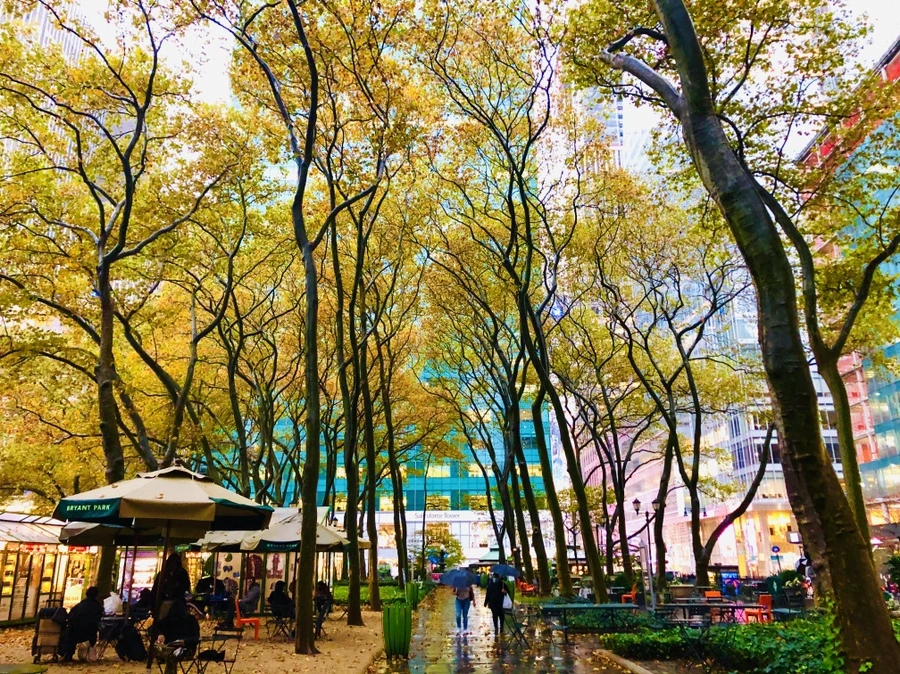 IMG_4443.jpg?type=w966