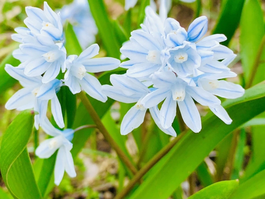 IMG_6726.jpg?type=w966