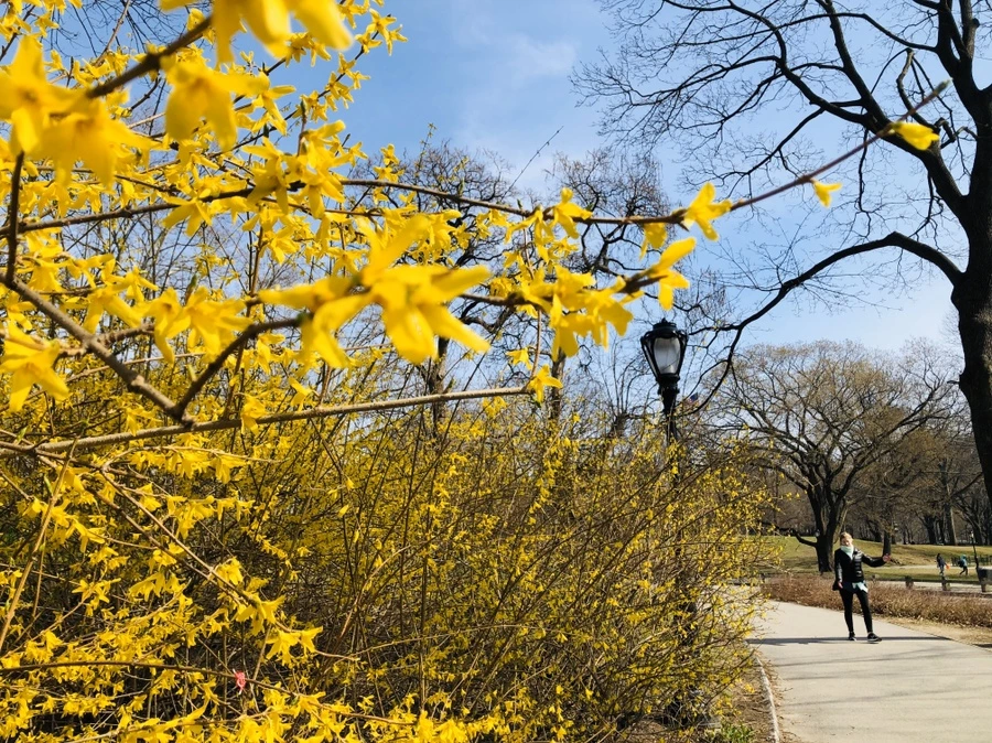 IMG_6474.jpg?type=w966