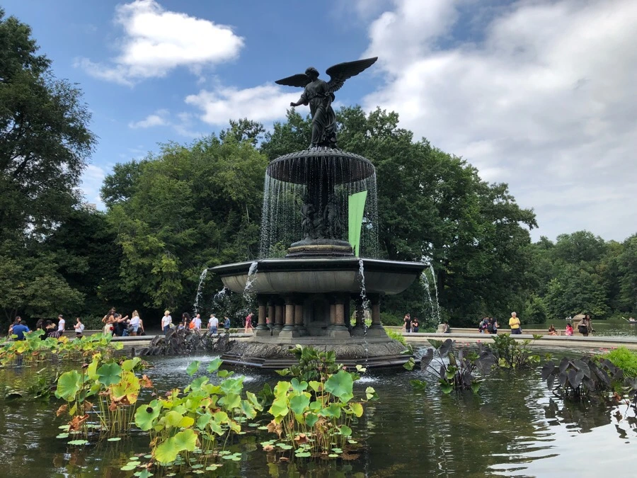 IMG_3726.jpg?type=w966