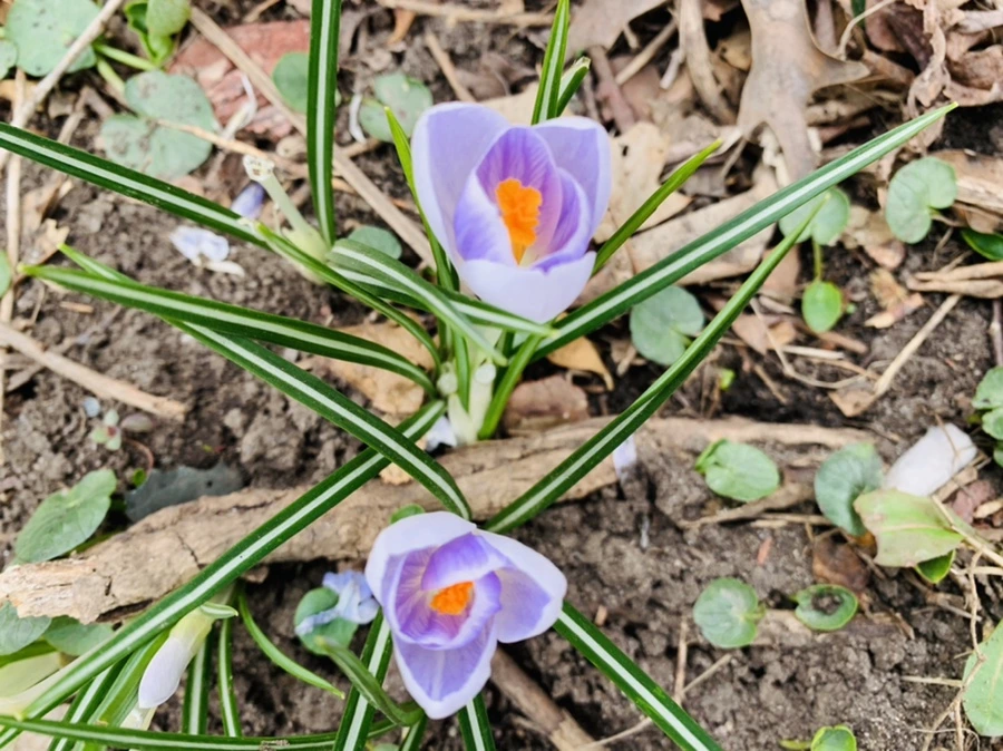 IMG_3507.jpg?type=w966