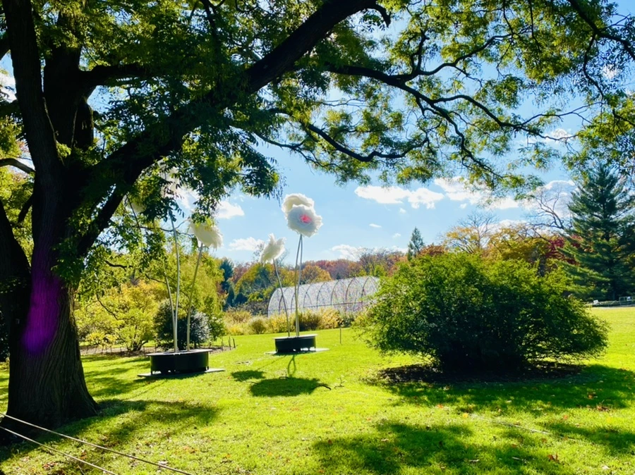 IMG_3147.jpg?type=w966