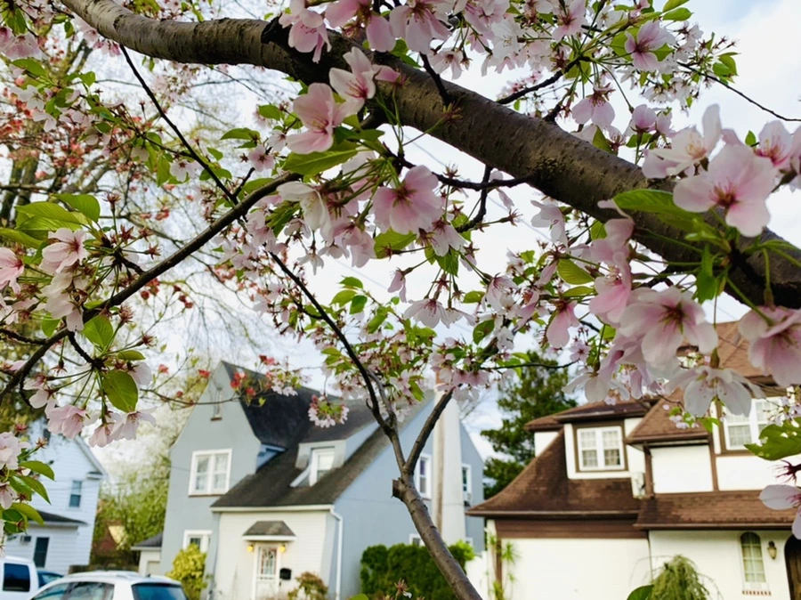 IMG_2791.jpg?type=w966